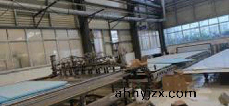 進(jin)口(kou)痳(lin)膠(jiao)機